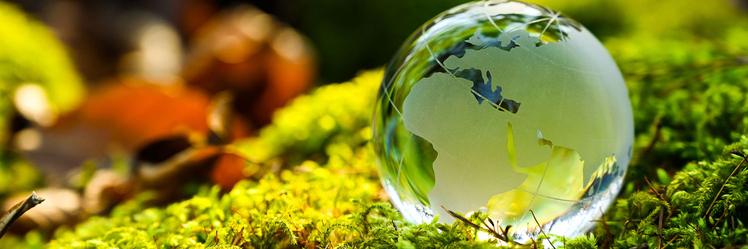 Sustentabilidade